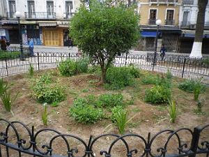283 emplacement ou se trouver la statue de jeanne d'arc ( un petit jardin)